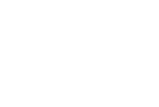 Logo Fondation INSA Toulouse